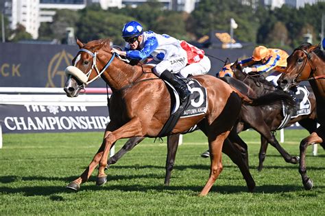 readybet|rambet australia.